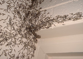 picture of termite swarm